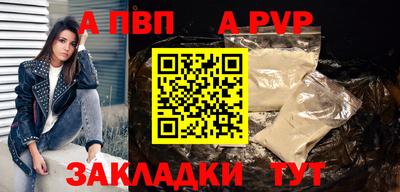 прущие грибы Ирбит